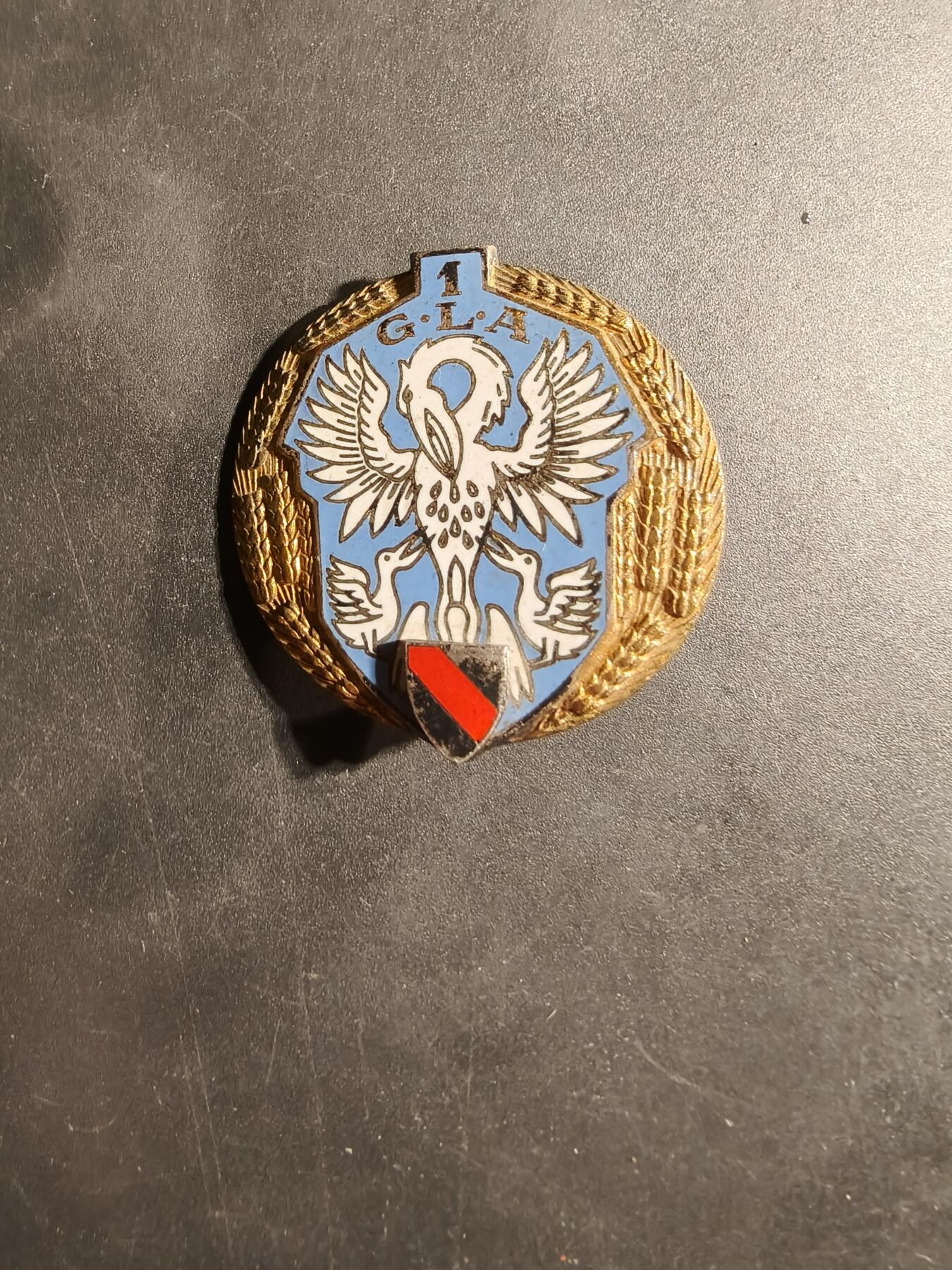 老王徽章第169期 法国陆军第一空中投送大队证章