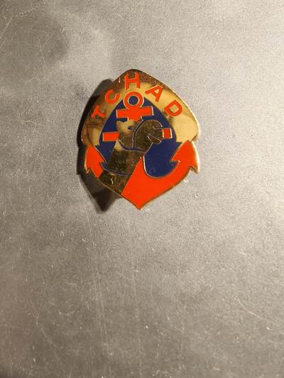 老王徽章第169期 - 法国第2装甲旅乍得行进团证章