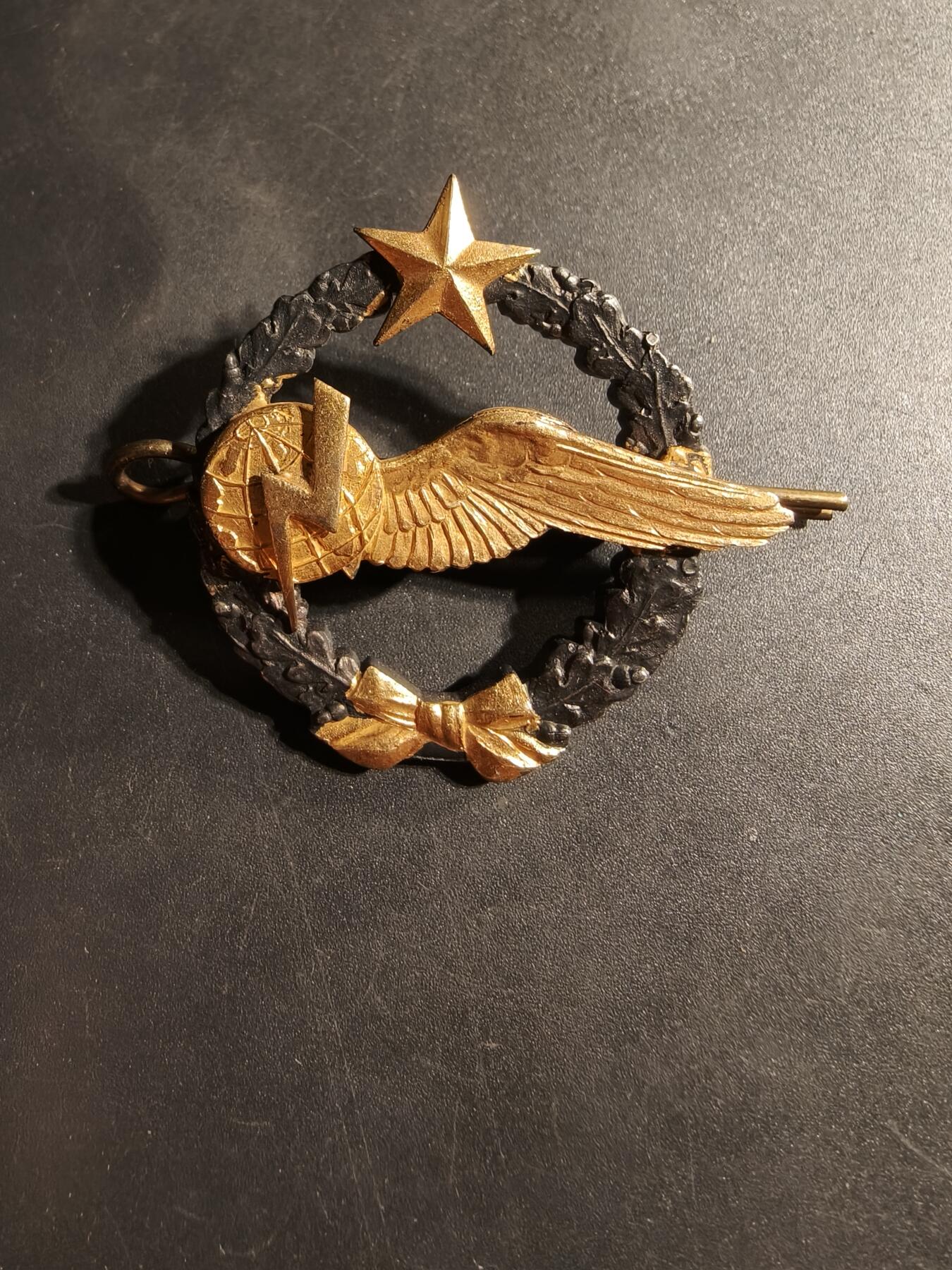 老王徽章第169期 法国空军无线电操作员学员证章