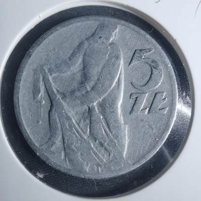 沼泽如烟--第931场 - 波兰1959年5兹罗提