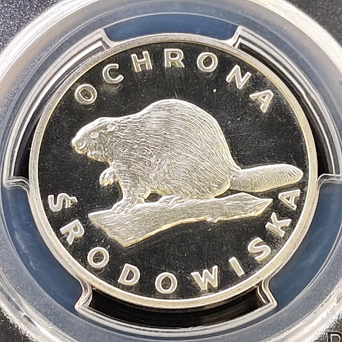 【全场包邮】纯粹捡漏拍487场（免费代拍第24场）