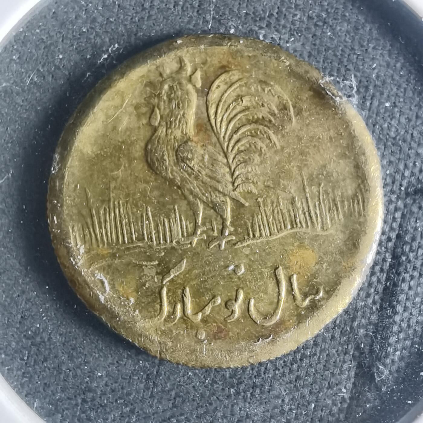 沼泽如烟--第931场 伊朗代币