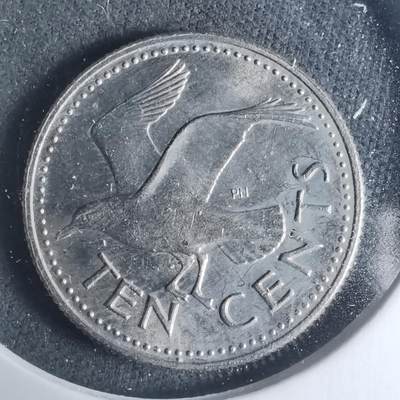 沼泽如烟--第931场 - 巴巴多斯1973年十分