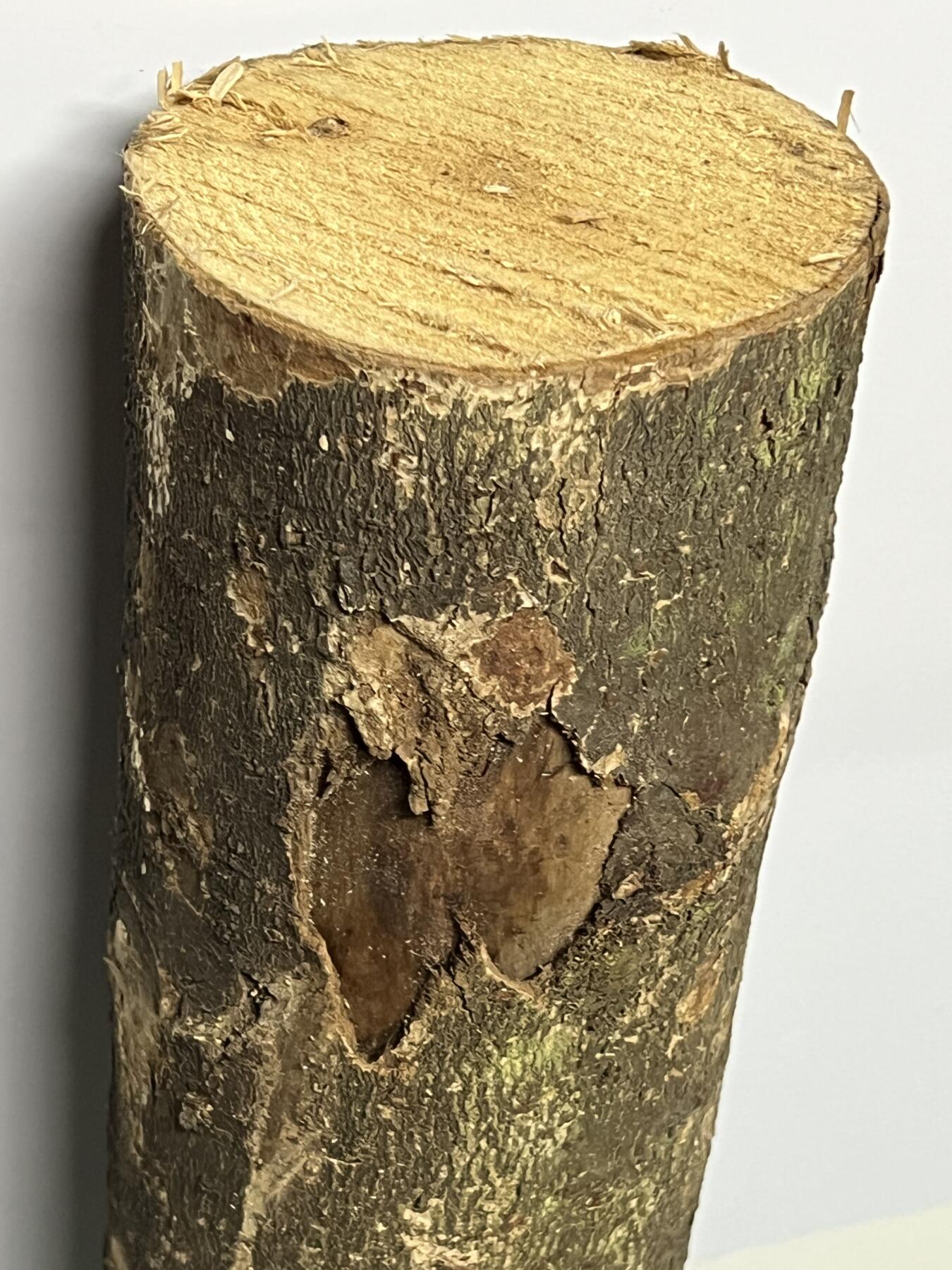 零元拍： D1-4 金丝楠 原木 风水柱 横财（材）带皮， 尺寸：47/12/10.5CM。抛光后金灿灿满香。最后一图为成品效果。如果带点瘤，意味着花纹更漂亮。抛光后金灿灿满香。最后一图为成品效果。