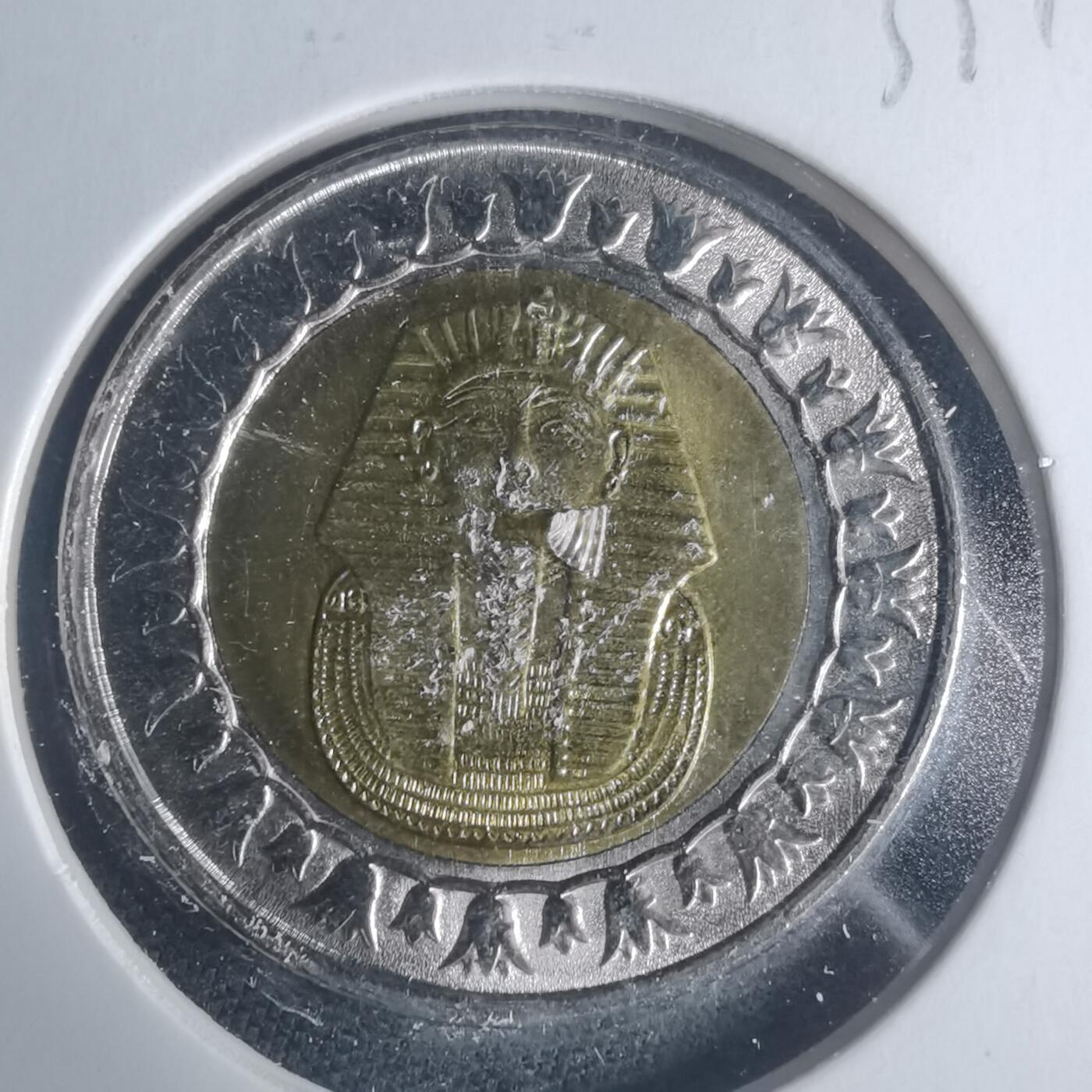 沼泽如烟--第931场 埃及2022年1磅