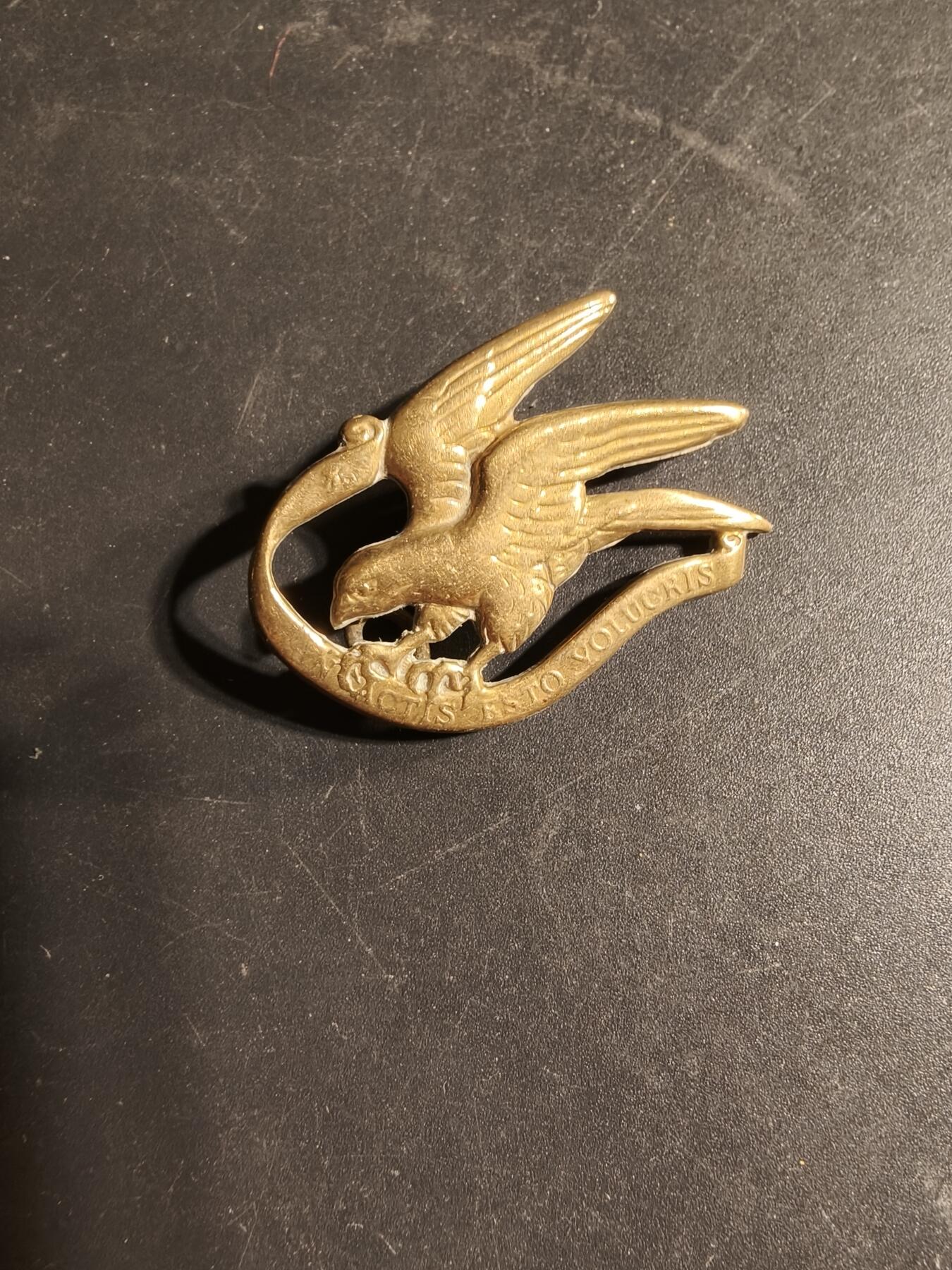 老王徽章第169期