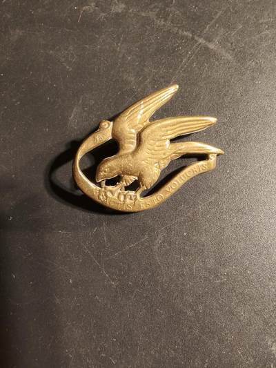 老王徽章第169期 - 丹麦皇家近卫骠骑兵团帽徽