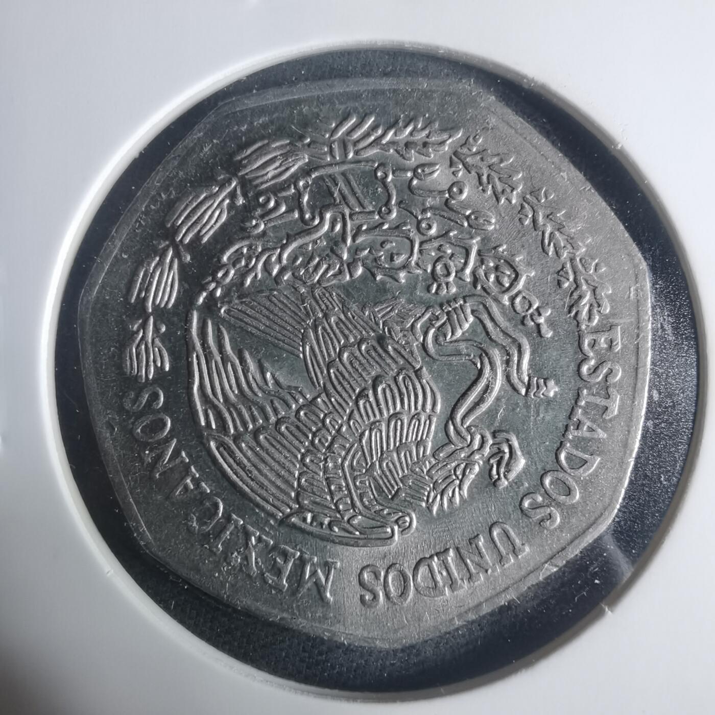 沼泽如烟--第931场