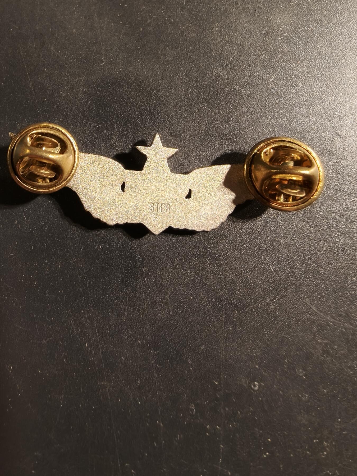 老王徽章第169期 美国空军军医中级技能章    925银    2英寸