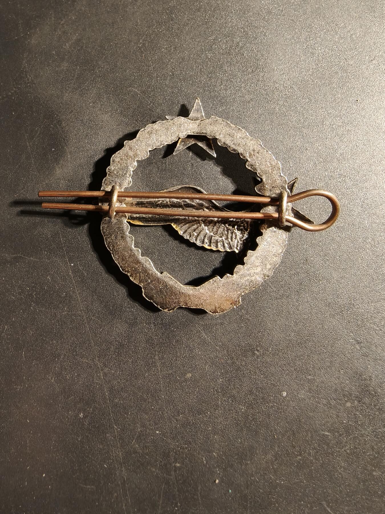 老王徽章第169期 法国空军飞行员学员证章