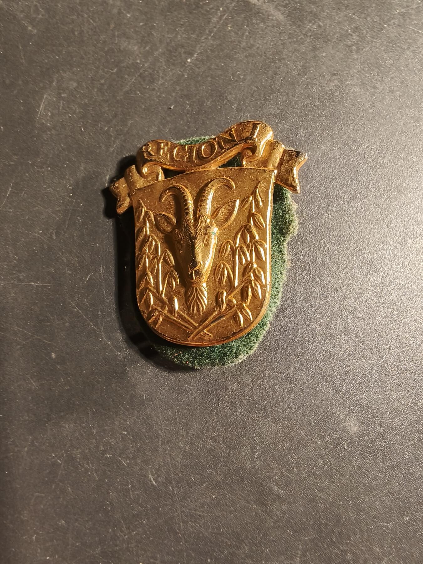 老王徽章第169期 丹麦国民警卫队第1营帽徽   底衬完整