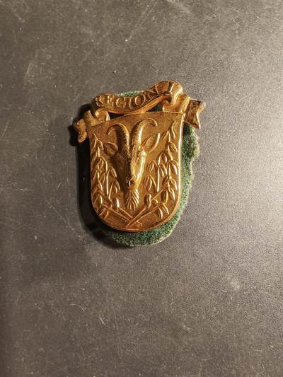 老王徽章第169期 - 丹麦国民警卫队第1营帽徽   底衬完整