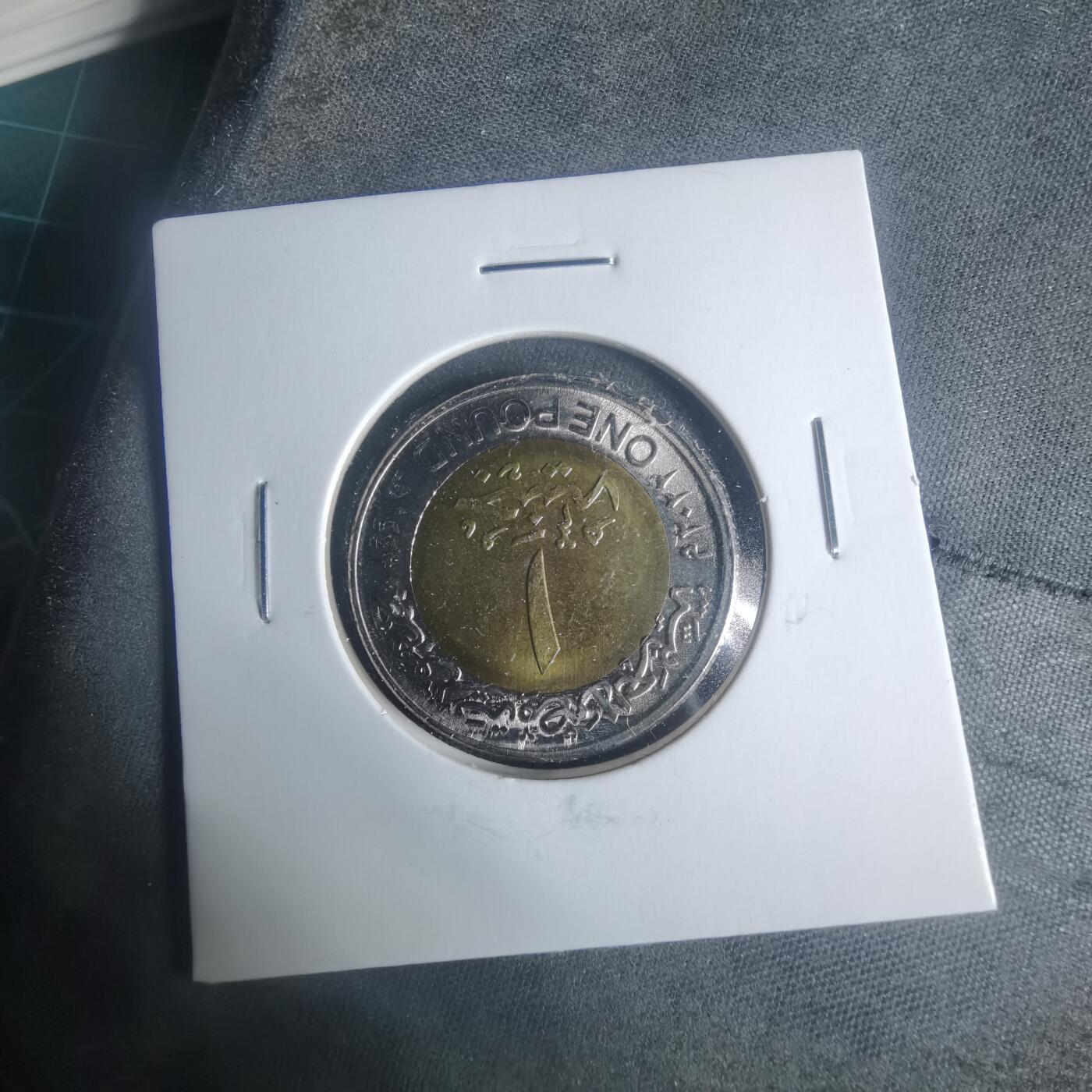 沼泽如烟--第931场 埃及2022年1磅