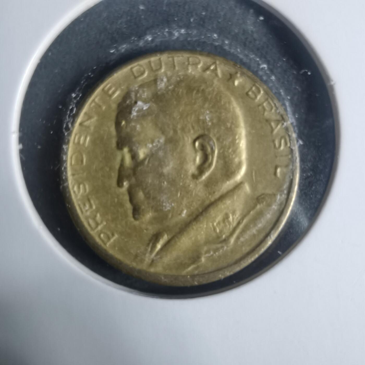 沼泽如烟--第931场