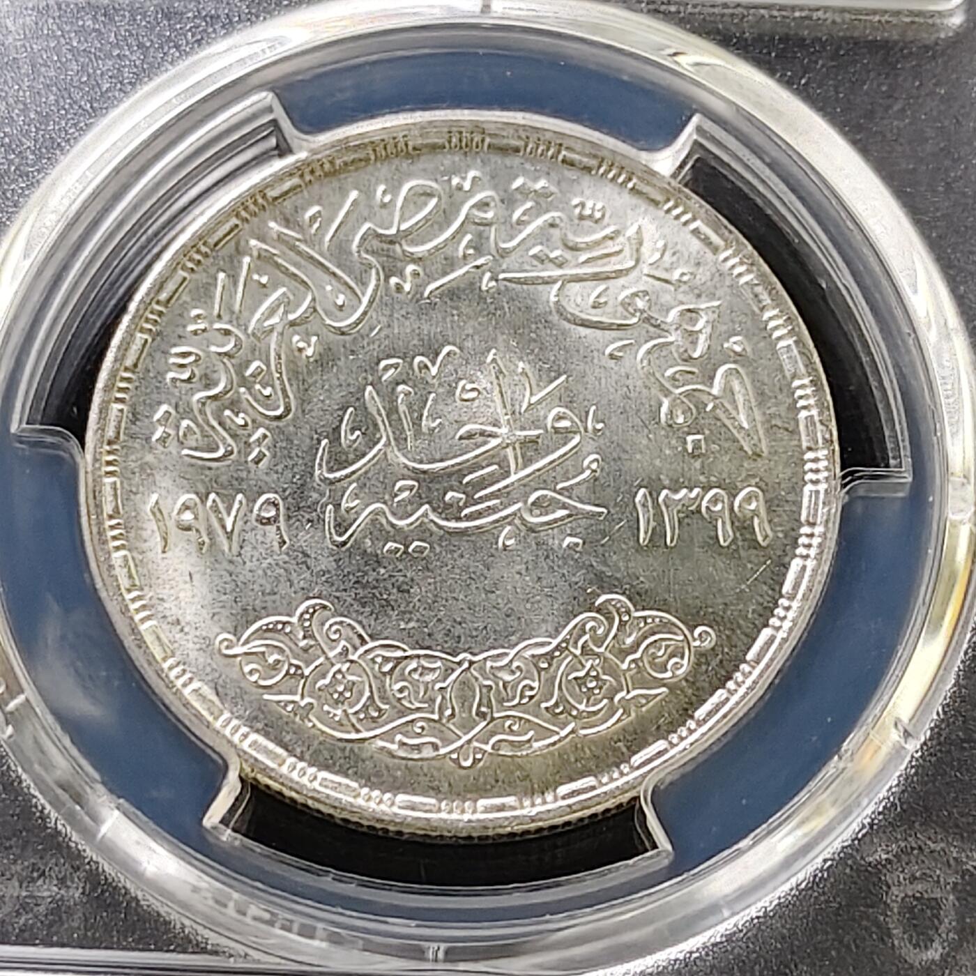 【全场包邮】纯粹捡漏拍487场（免费代拍第24场）