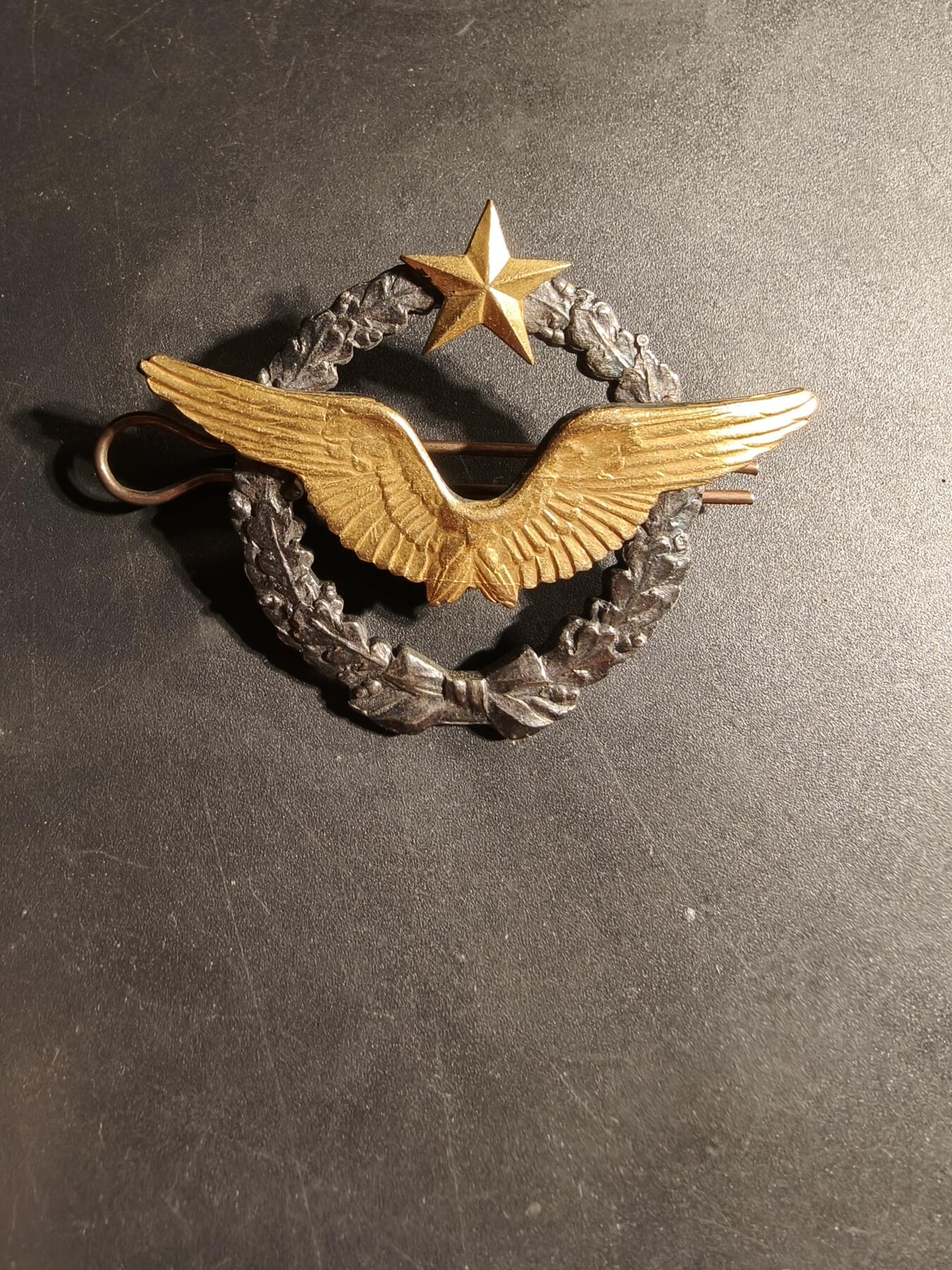 老王徽章第169期 法国空军飞行员证章