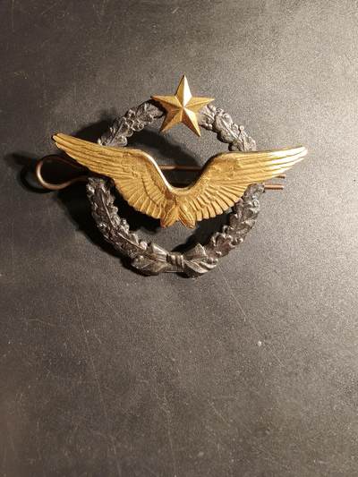 老王徽章第169期 - 法国空军飞行员证章