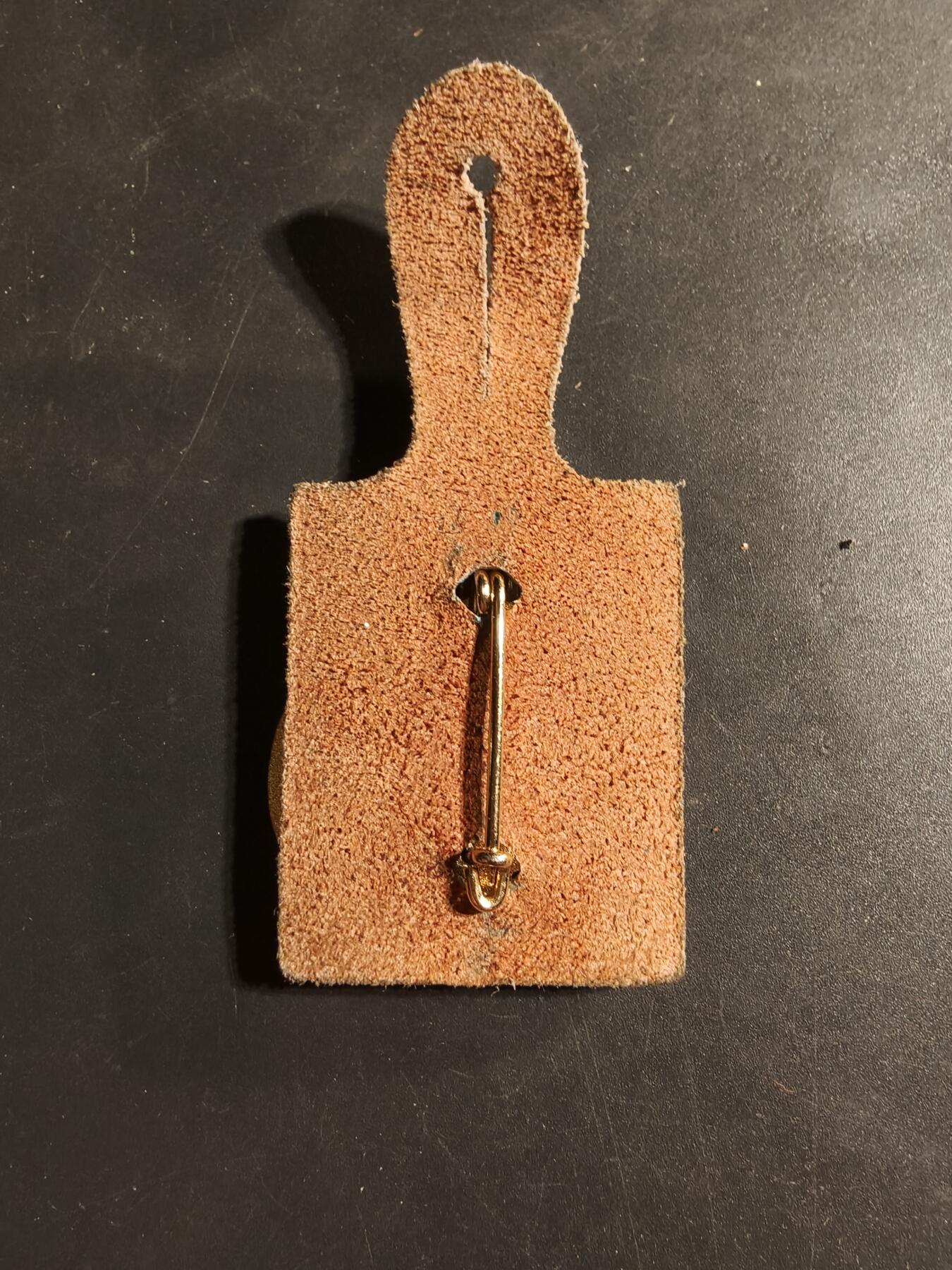 老王徽章第169期 法国海外联合兵种第5团证章