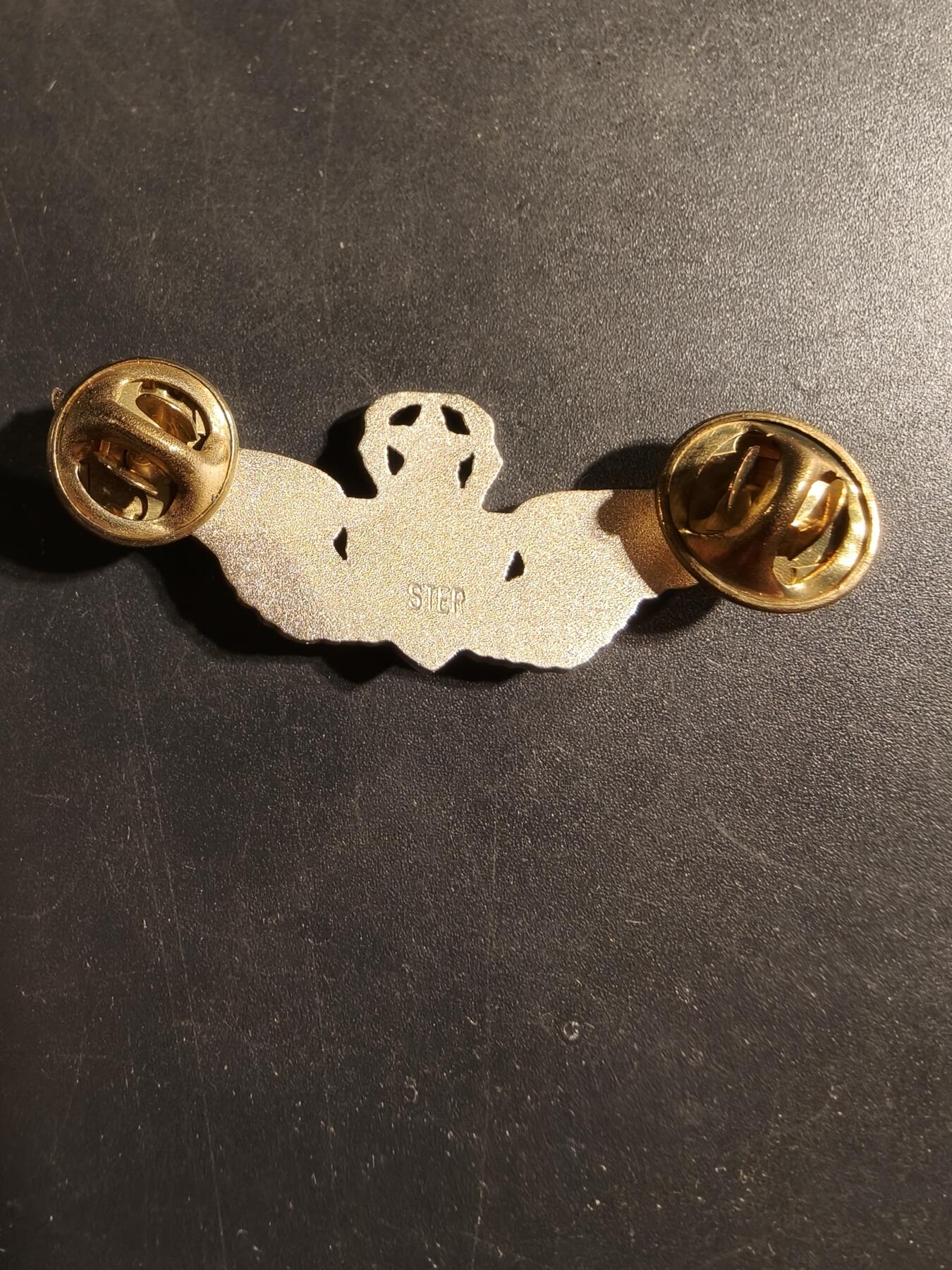 老王徽章第169期 美国空军军医高级技能章    925银    2英寸