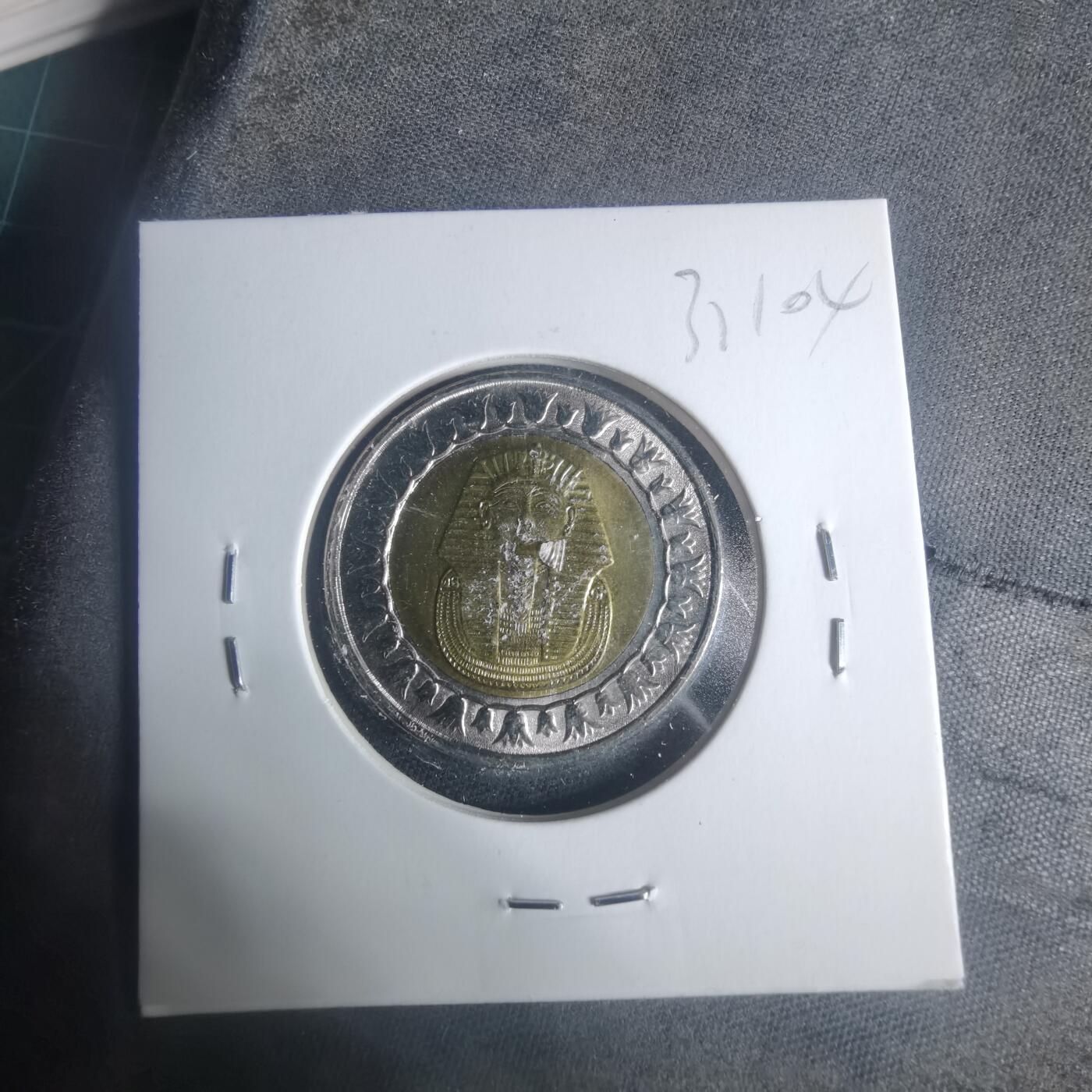 沼泽如烟--第931场 埃及2022年1磅