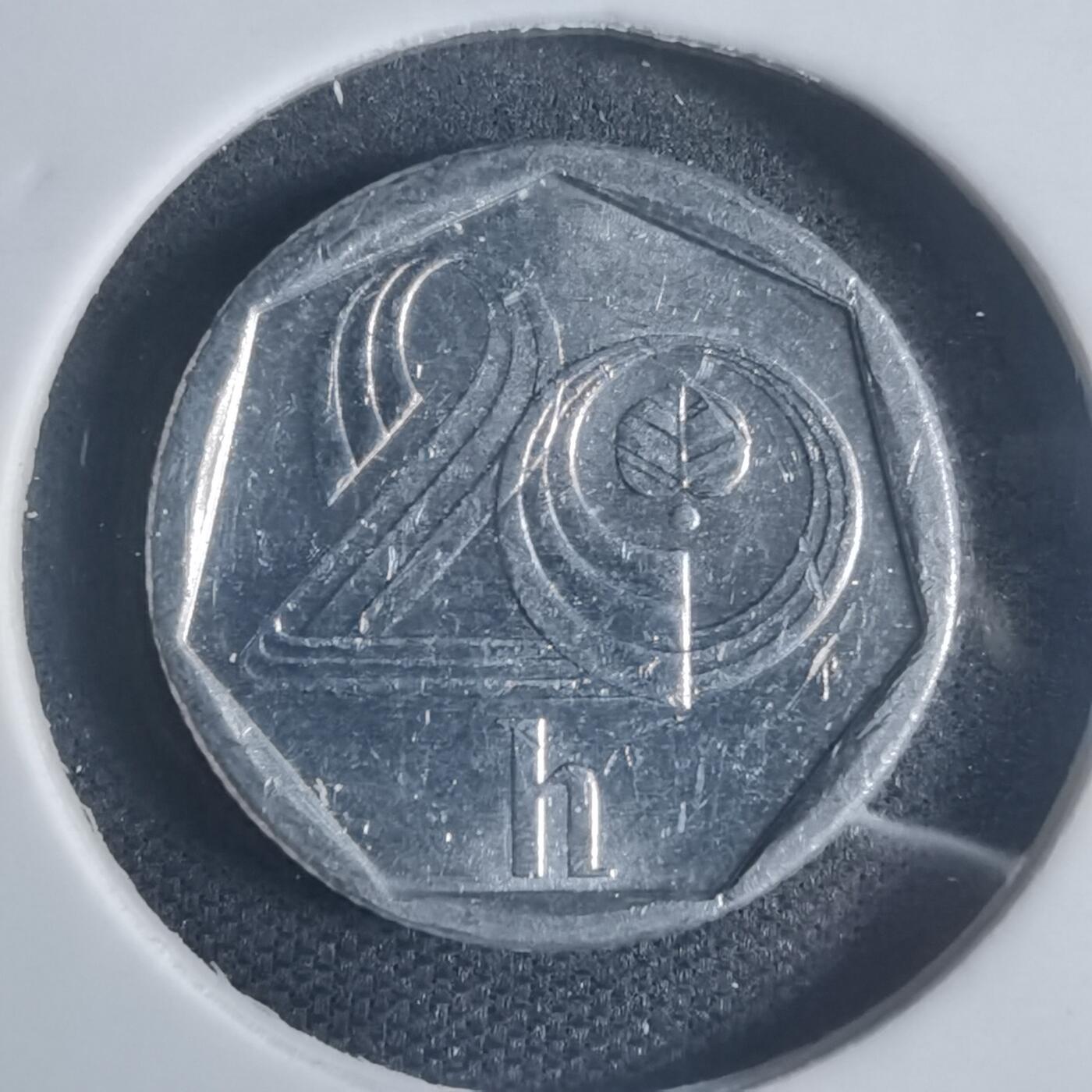 沼泽如烟--第932场