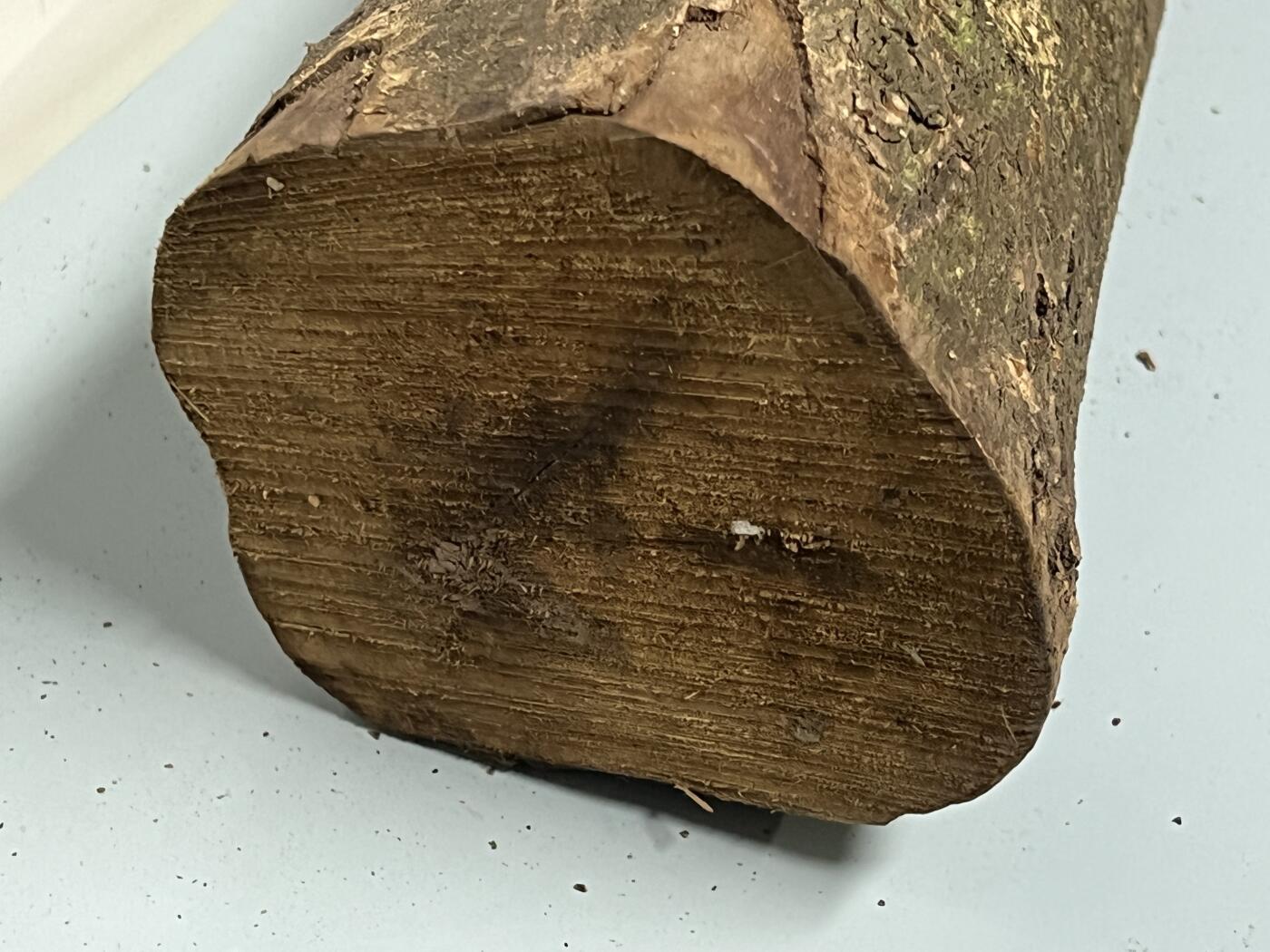 零元拍： D1-4 金丝楠 原木 风水柱 横财（材）带皮， 尺寸：47/12/10.5CM。抛光后金灿灿满香。最后一图为成品效果。如果带点瘤，意味着花纹更漂亮。抛光后金灿灿满香。最后一图为成品效果。