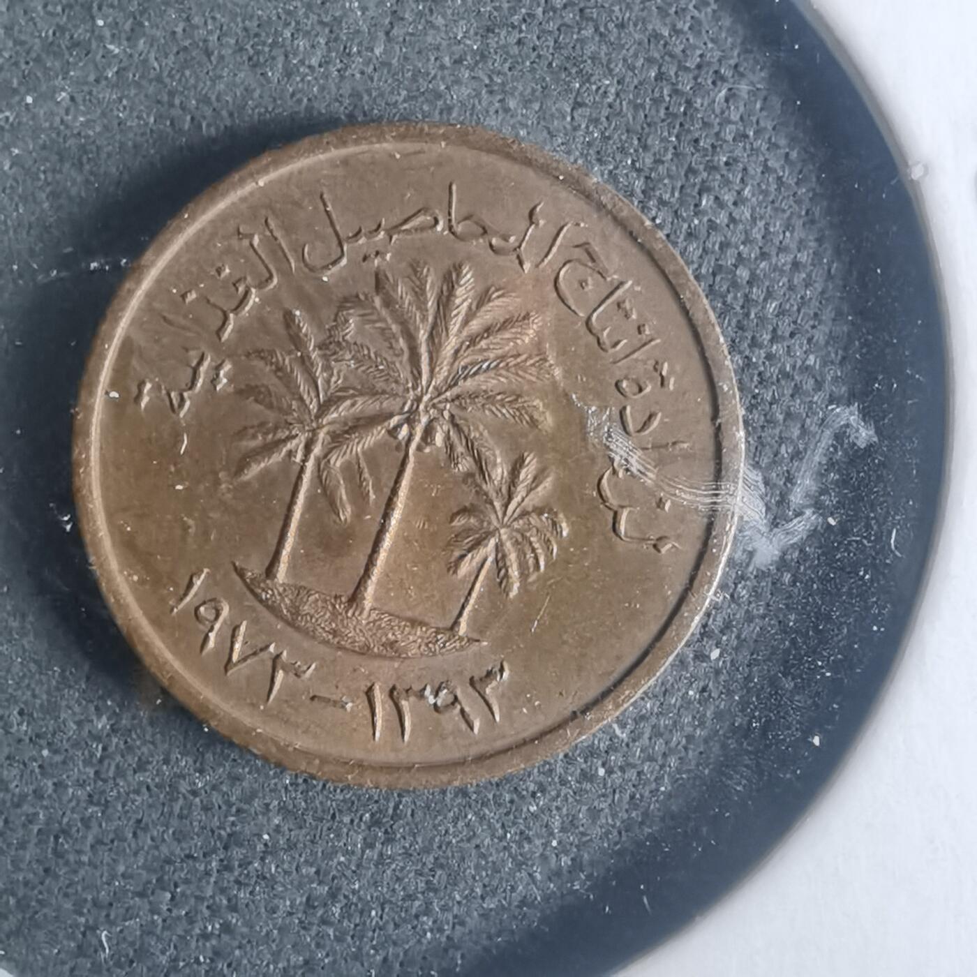 沼泽如烟--第931场 阿联酋