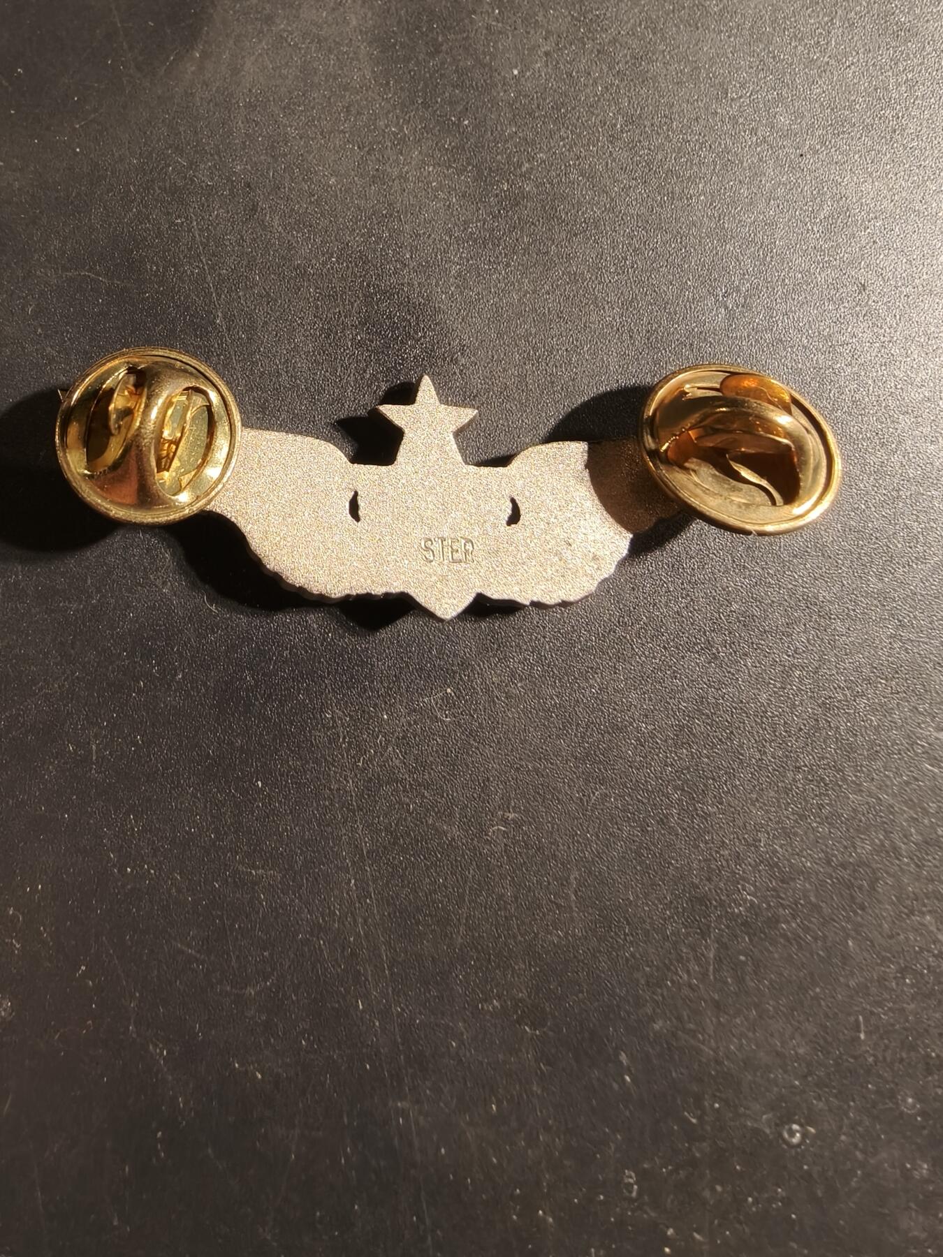 老王徽章第169期 美国空军军医中级技能章    925银    2英寸