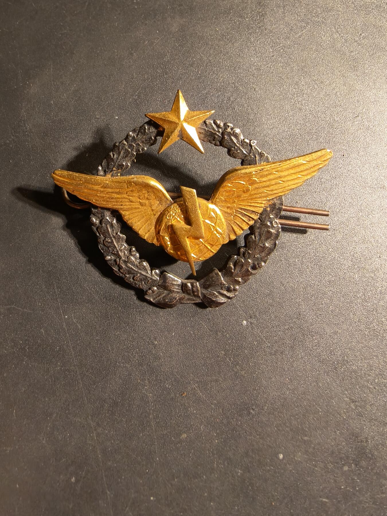 老王徽章第169期 法国空军无线电操作员证章