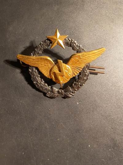 老王徽章第169期 - 法国空军无线电操作员证章