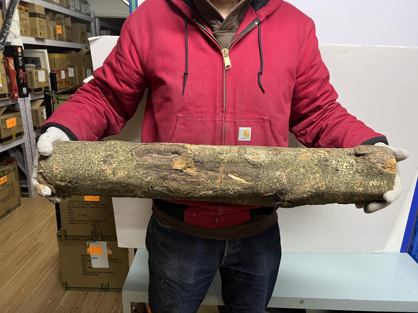 零元拍： D1-2 金丝楠 原木 风水柱 横财（材）带皮， 尺寸：75/11.5/13.5CM。抛光后金灿灿满香。最后一图为成品效果。有一端带点瘤，意味着花纹更漂亮。