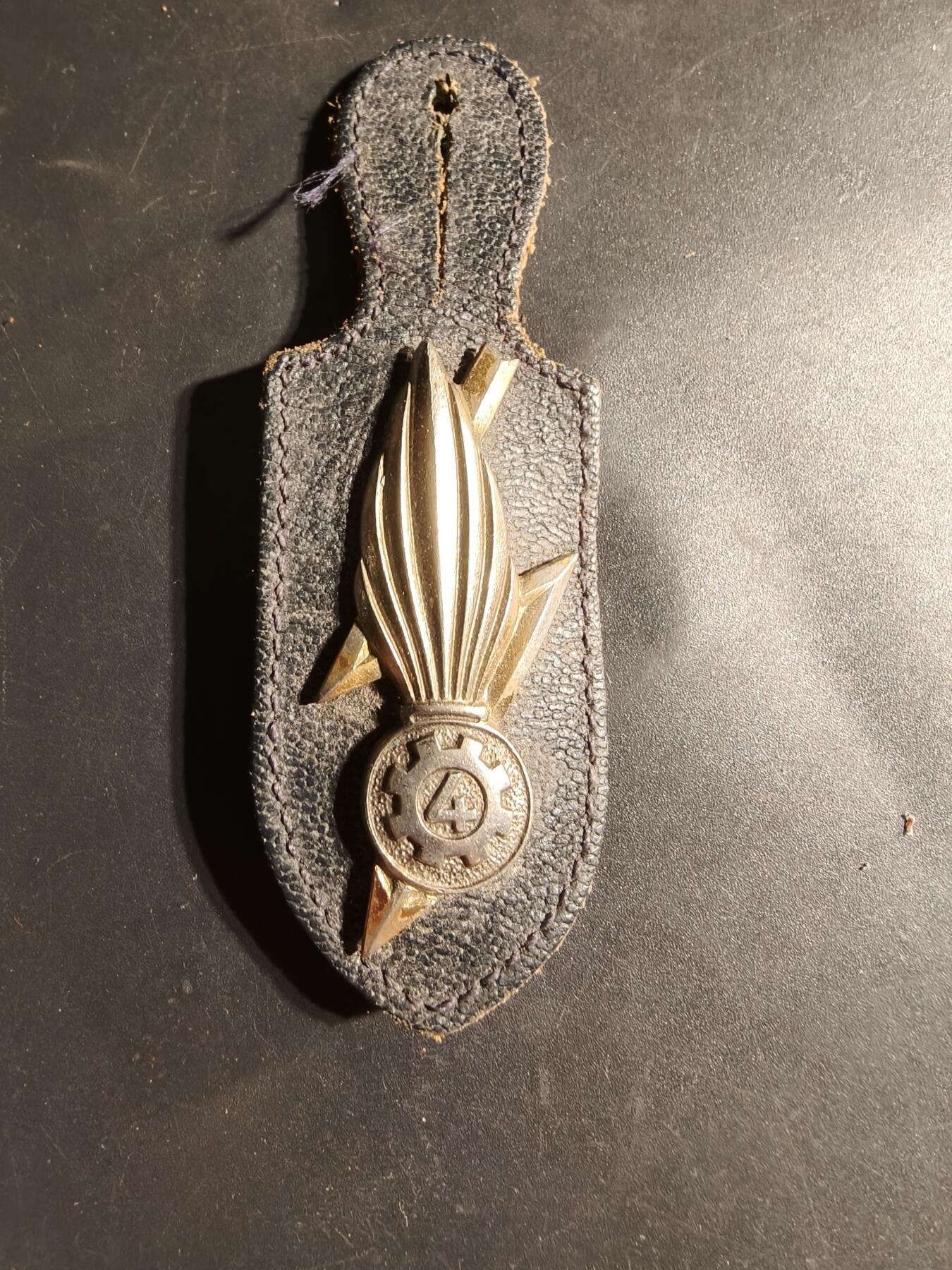 老王徽章第169期 法国第4地区物资大队证章