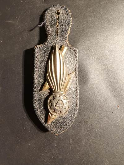 老王徽章第169期 - 法国第4地区物资大队证章