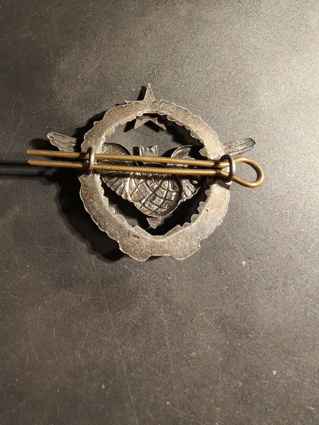 老王徽章第169期 法国空军轰炸机投弹手证章