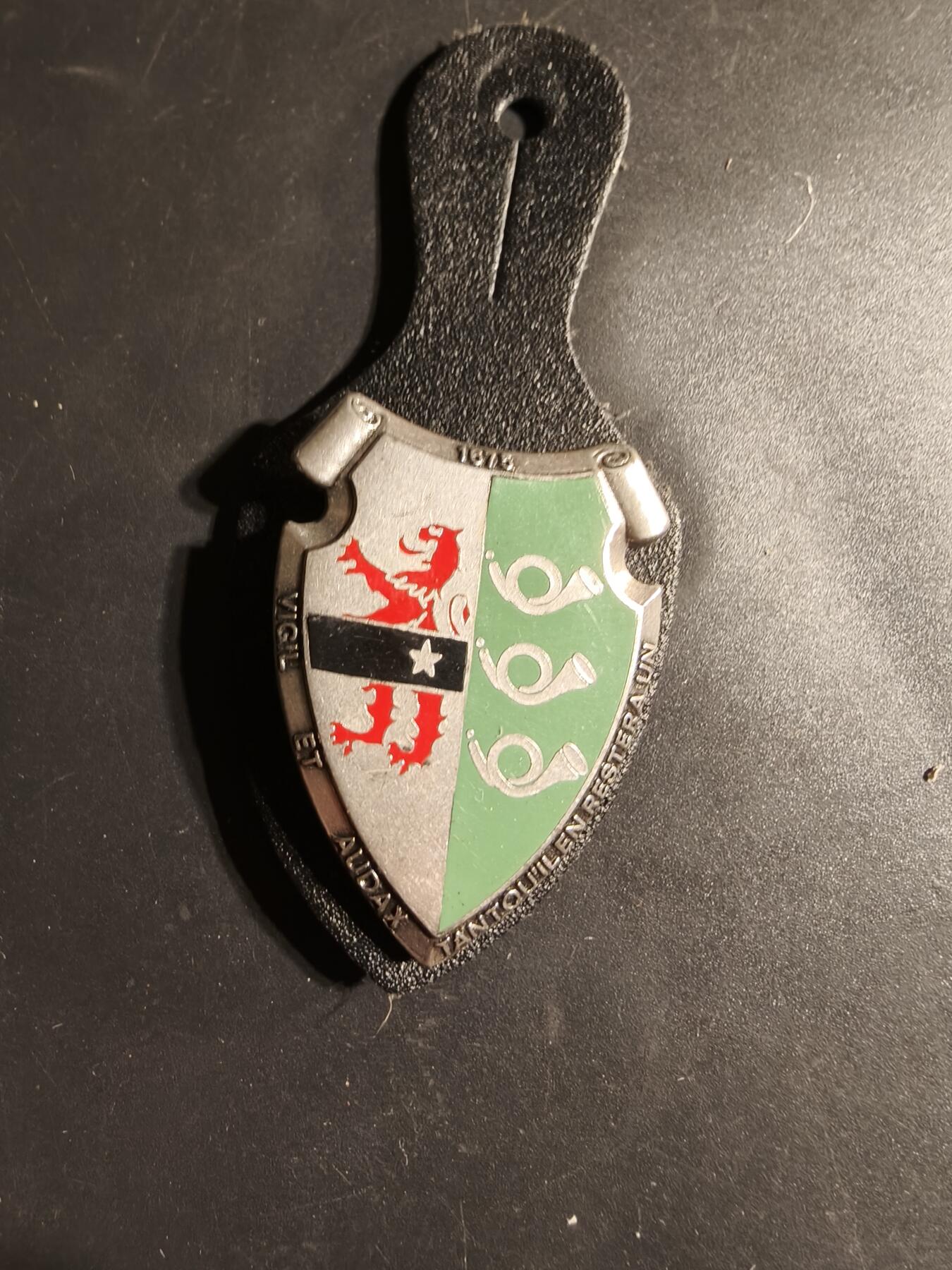 老王徽章第169期