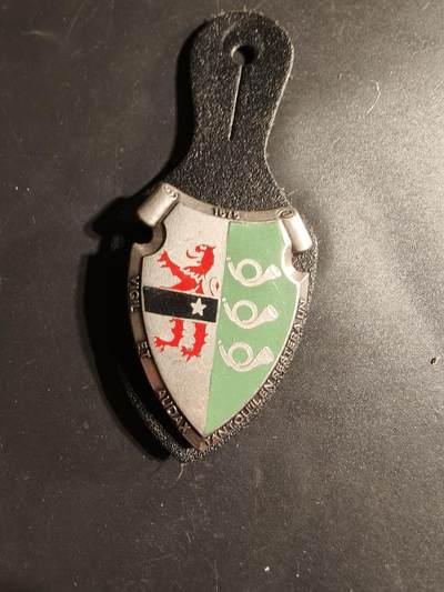 老王徽章第169期 - 法国第3猎骑兵团证章