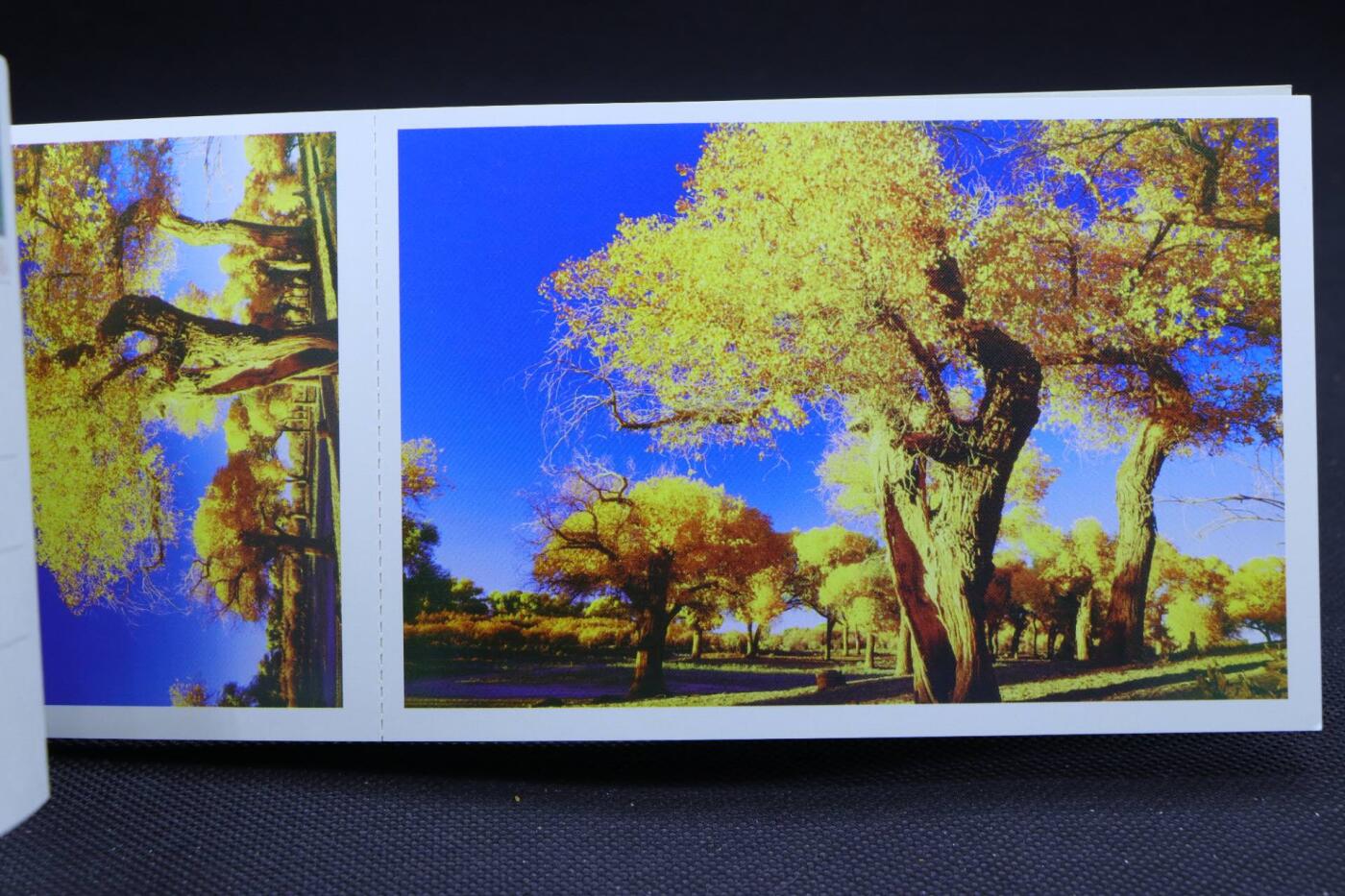 【淘币小摊】限时拍第八百三十拍  散币纸币邮票场  满百包邮可预留两周  周一统一发货     内蒙古风情特种册邮资明信片10张