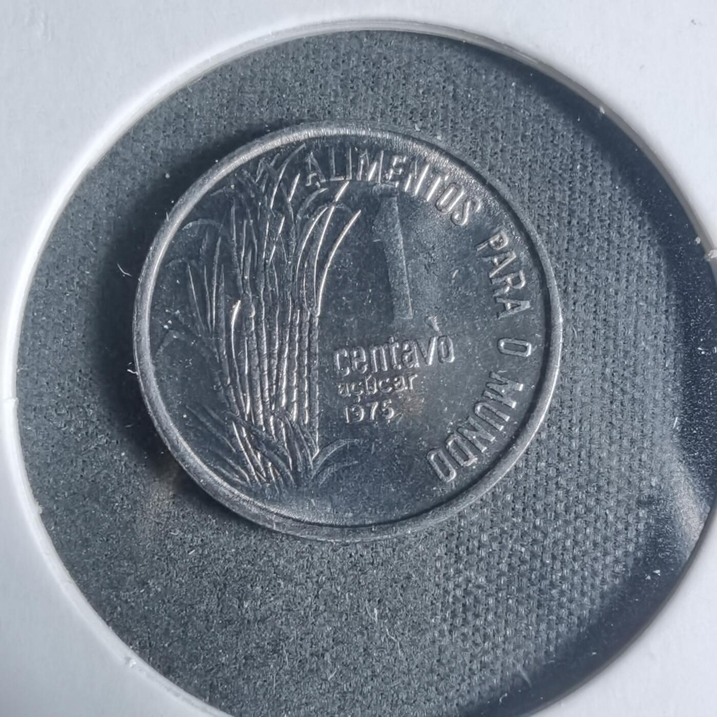 沼泽如烟--第933场