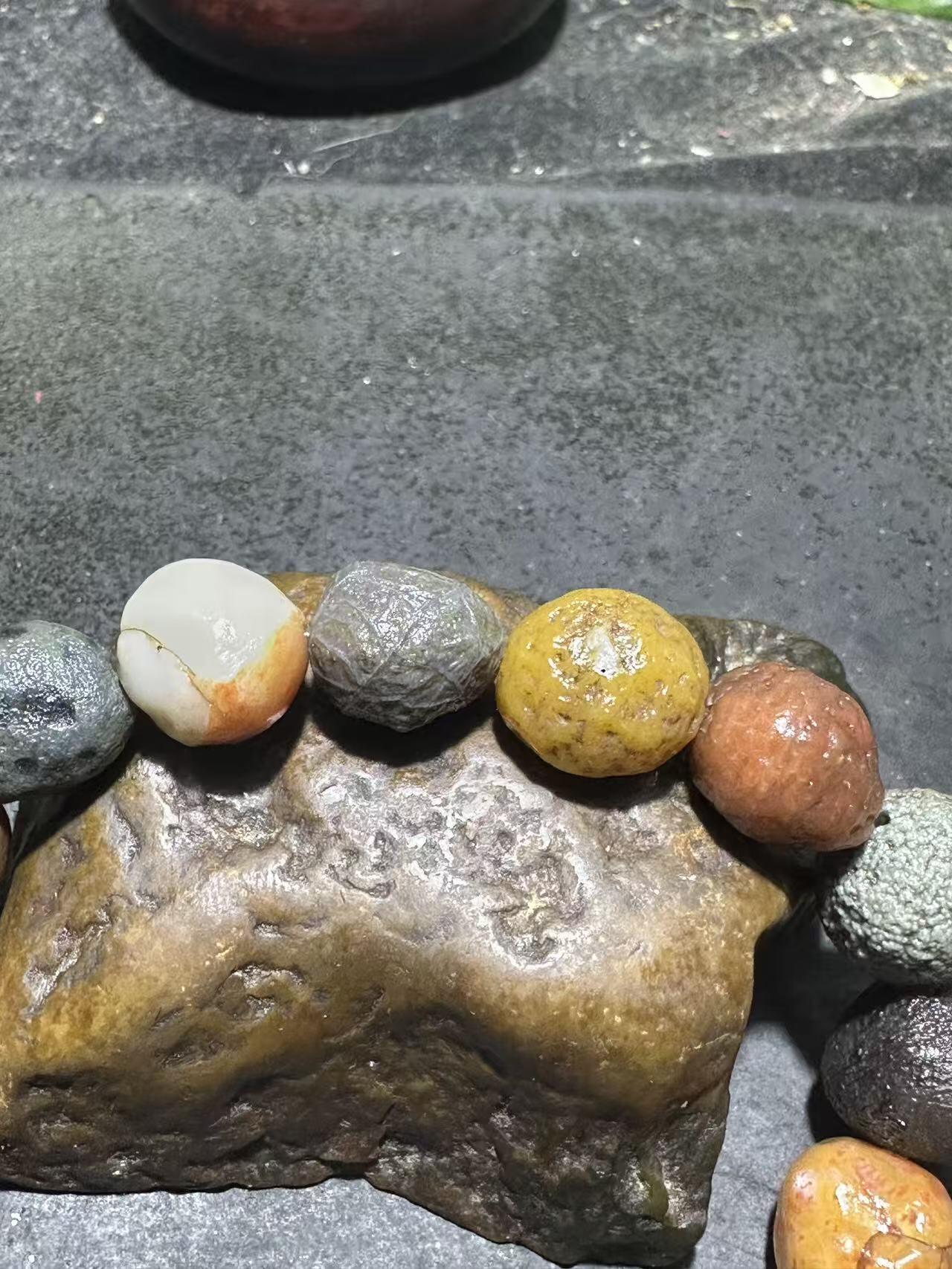 精美阿拉善多宝筋脉石原石手串一条，