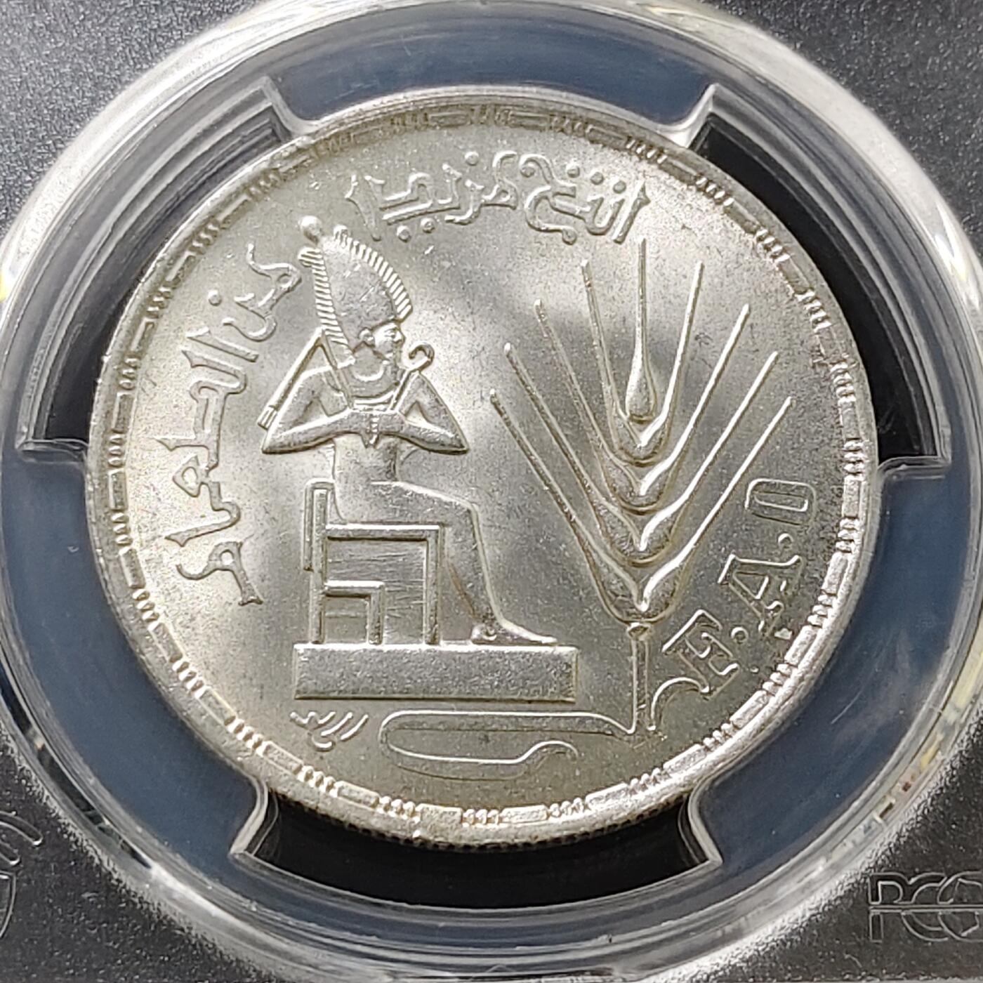 【全场包邮】纯粹捡漏拍487场（免费代拍第24场）