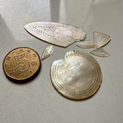 🌹外币初藏🌹🐯2025年第141场  每周二四六晚8️⃣点 接代拍 - 欧洲早期贝母筹码2枚 运输中损毁 手巧的可自行修复