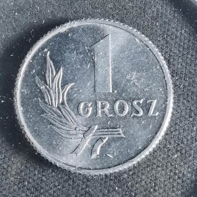 沼泽如烟--第933场 - 波兰1949年1格罗申