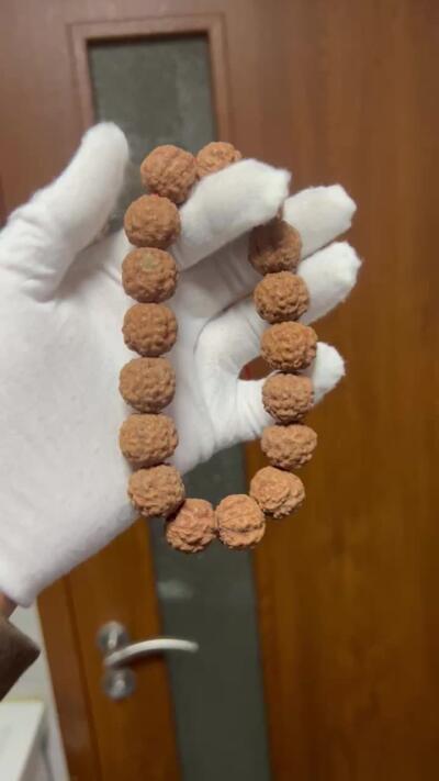 零元拍：W1-9 原生态 跳跳龙 金刚 手持 约17.5