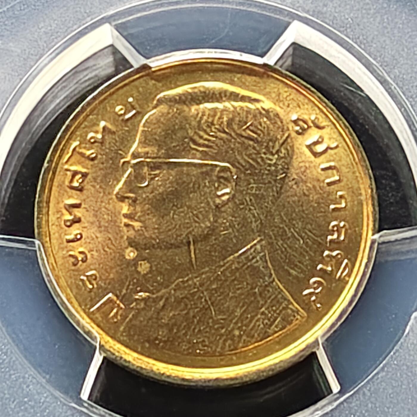 【全场包邮】纯粹捡漏拍487场（免费代拍第24场）