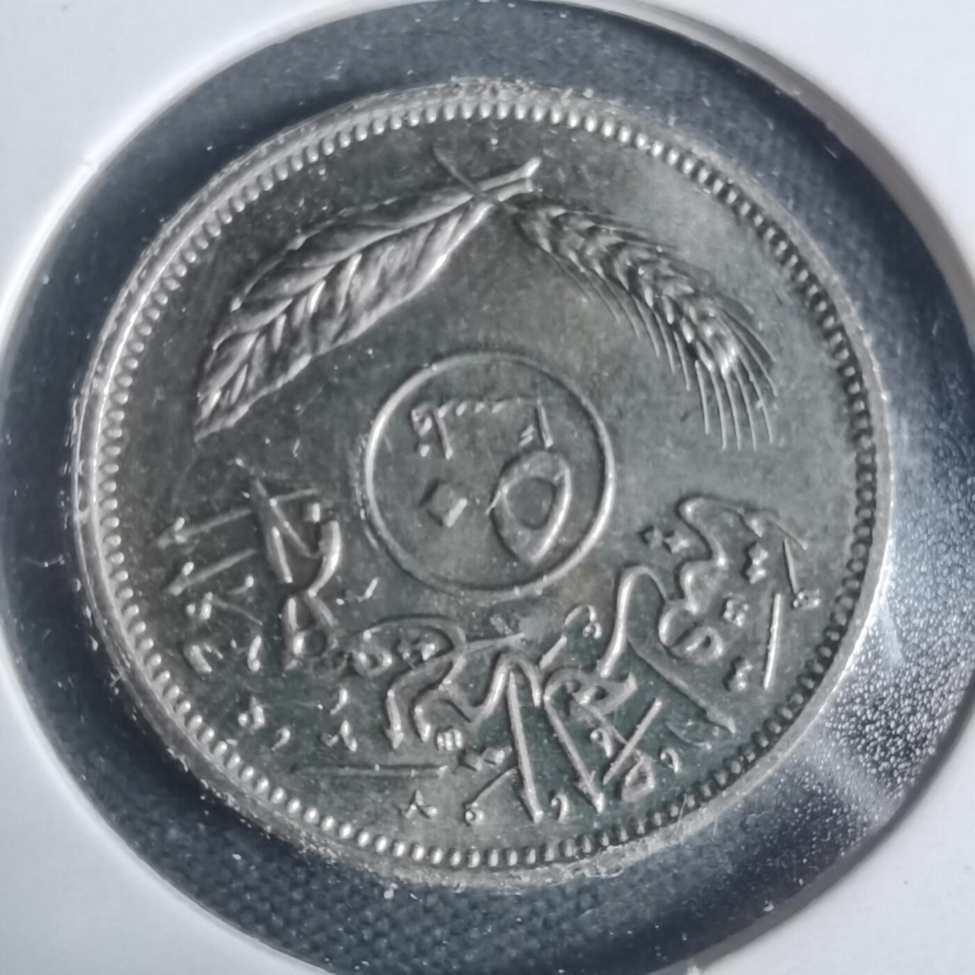 沼泽如烟--第933场 伊拉克