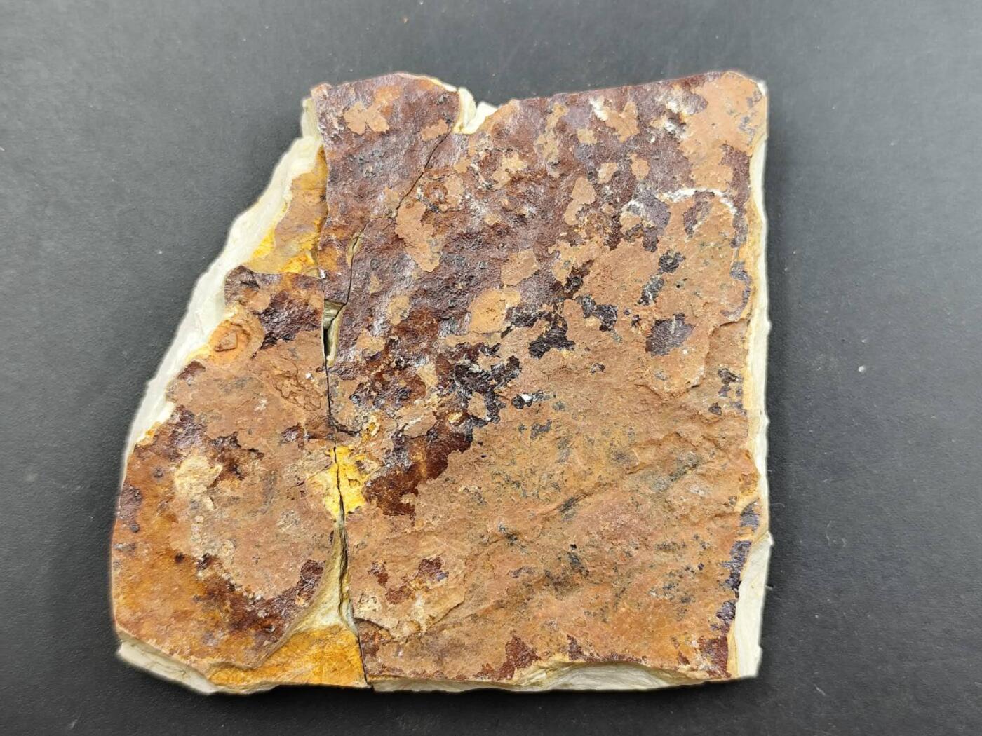 12月13日徽章钱币专场