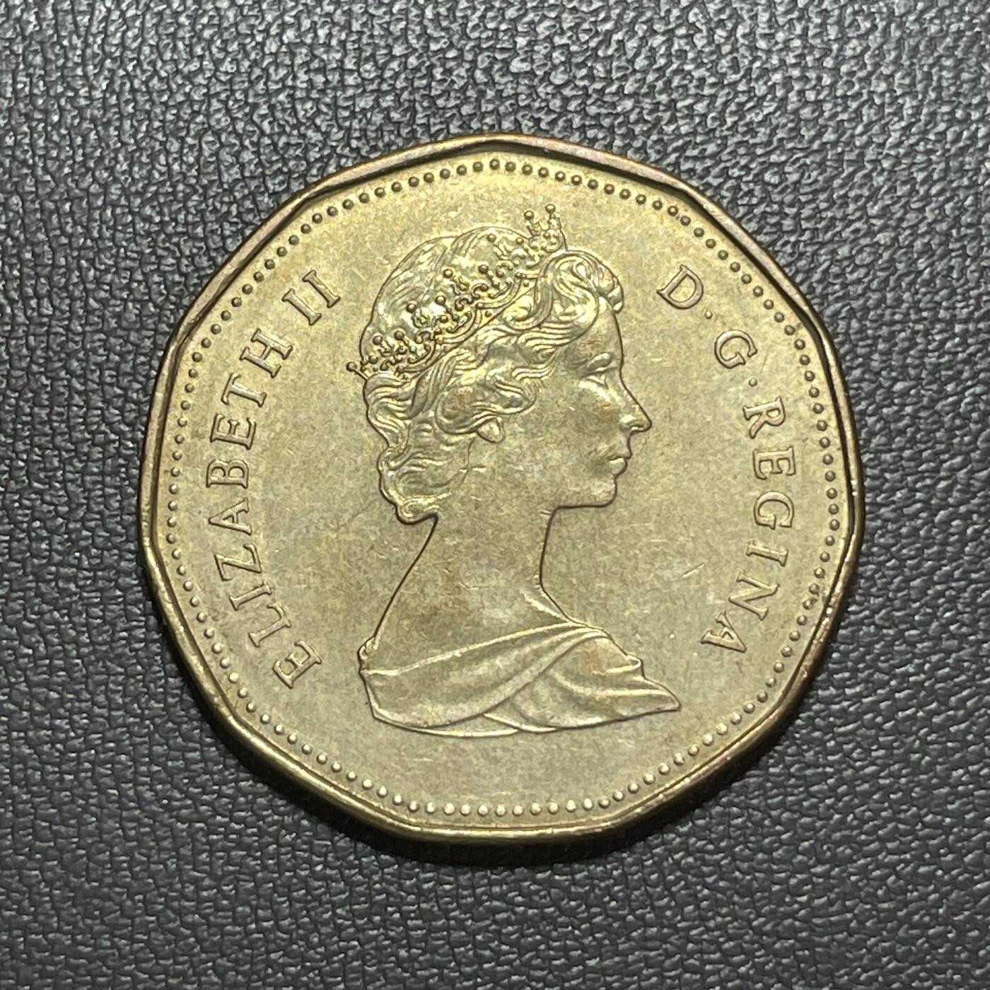 回流1222 加拿大1988年1加元11边形铜币 潜鸟