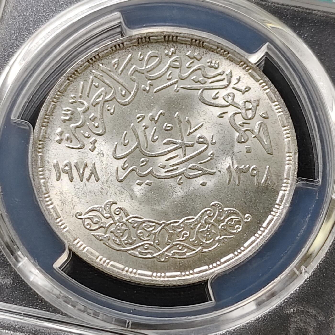 【全场包邮】纯粹捡漏拍487场（免费代拍第24场）