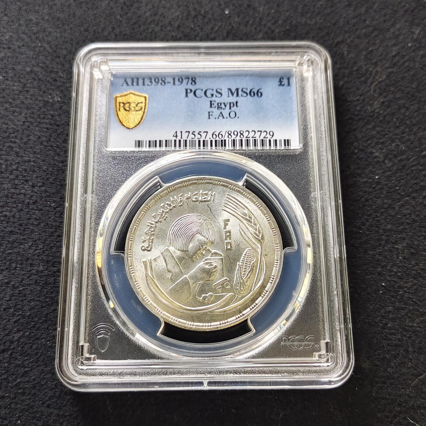 【全场包邮】纯粹捡漏拍487场（免费代拍第24场）