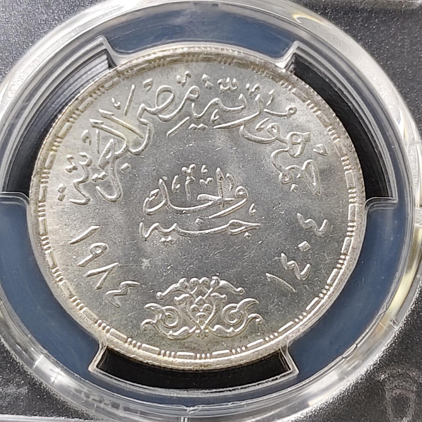 【全场包邮】纯粹捡漏拍487场（免费代拍第24场）